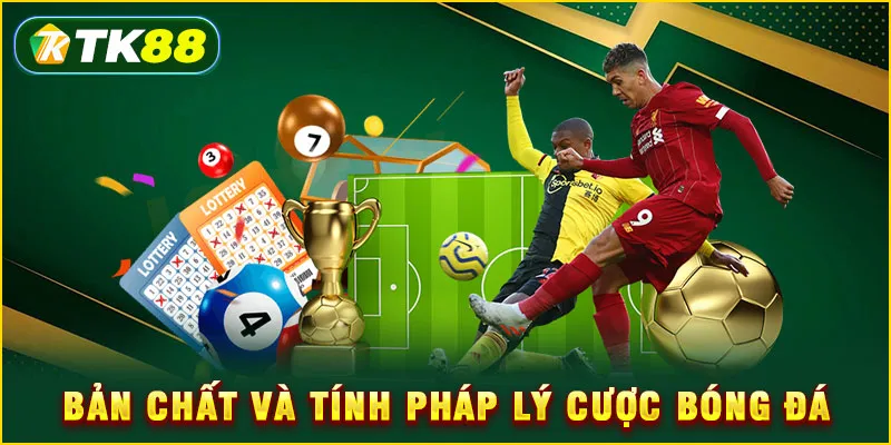 Cá độ bóng đá TK88 - 5 chiến thuật cược thông minh từ cao thủ 4 Bản chất và tính pháp lý cược bóng đá