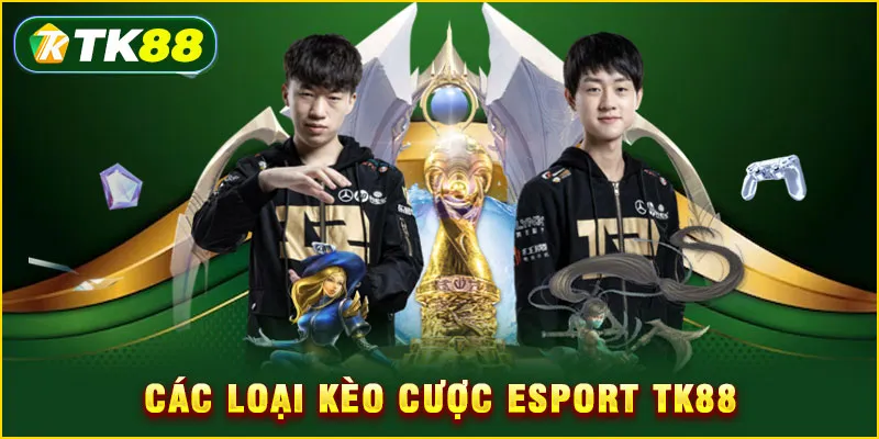 Các loại kèo cược Esport TK88