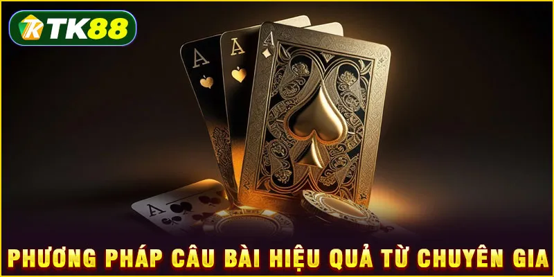 Phương pháp câu bài hiệu quả từ chuyên gia